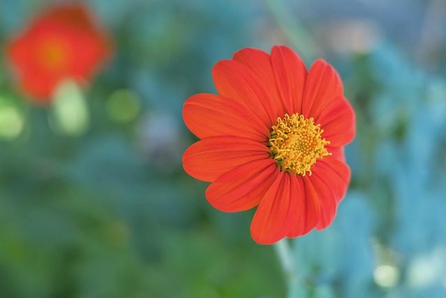 表面平静 表面平静