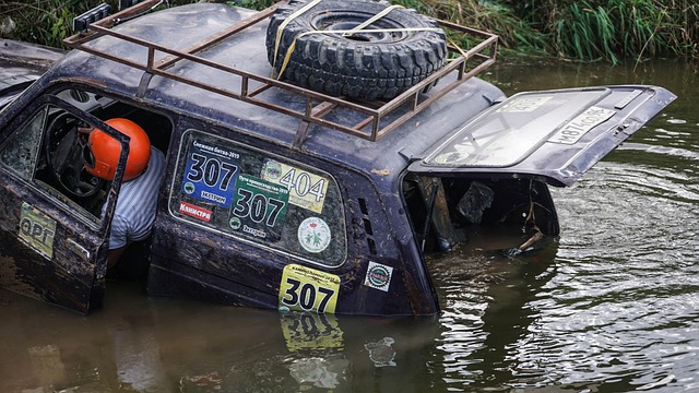 还展示了中 还展示了中