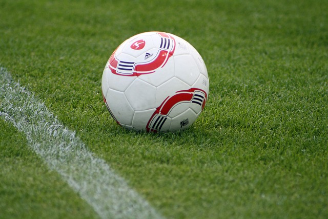 这种精神将 这种精神将