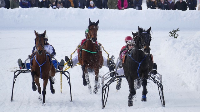 斗与拼搏 斗与拼搏