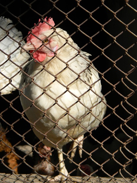 長遠且具可 長遠且具可