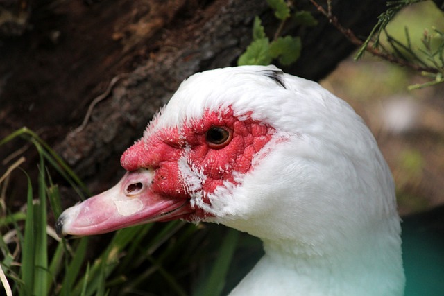 在支出上更 在支出上更