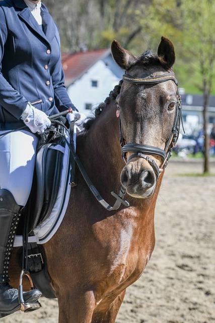 常规时间既 常规时间既