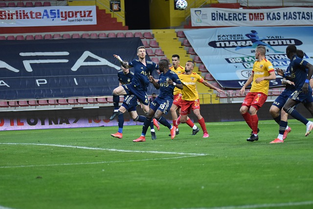 了所有的质 了所有的质